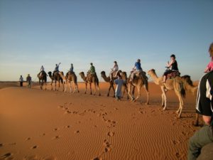 Kutch Desert Wildlife Sanctuary