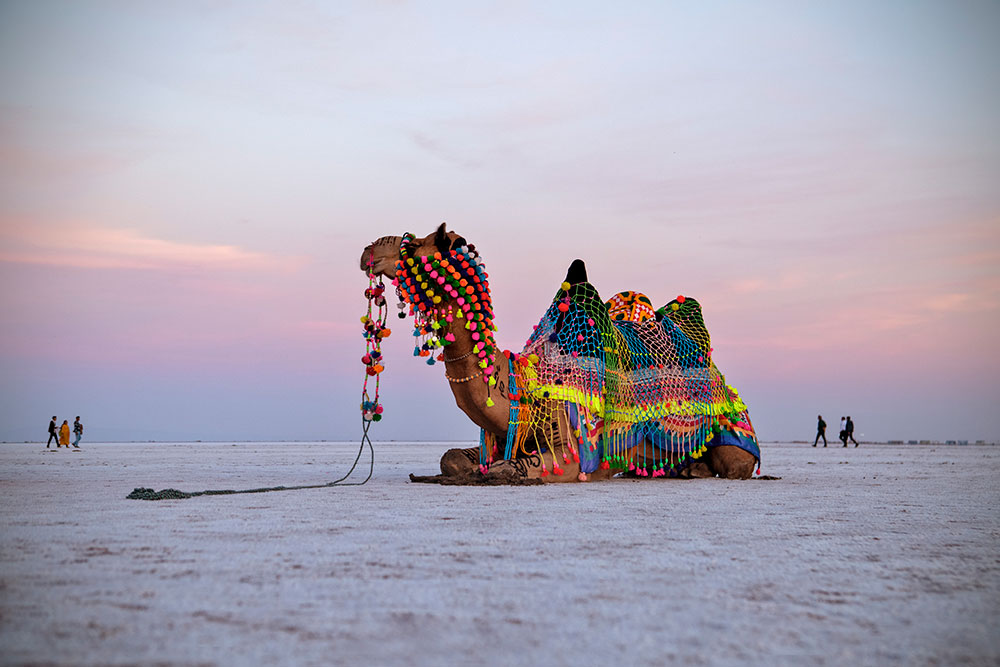 rann of kutch tour packages from vadodara