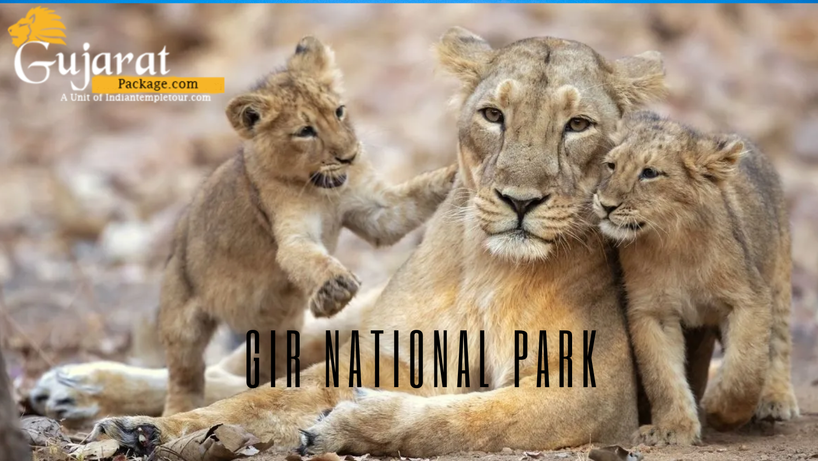 Gir National Park