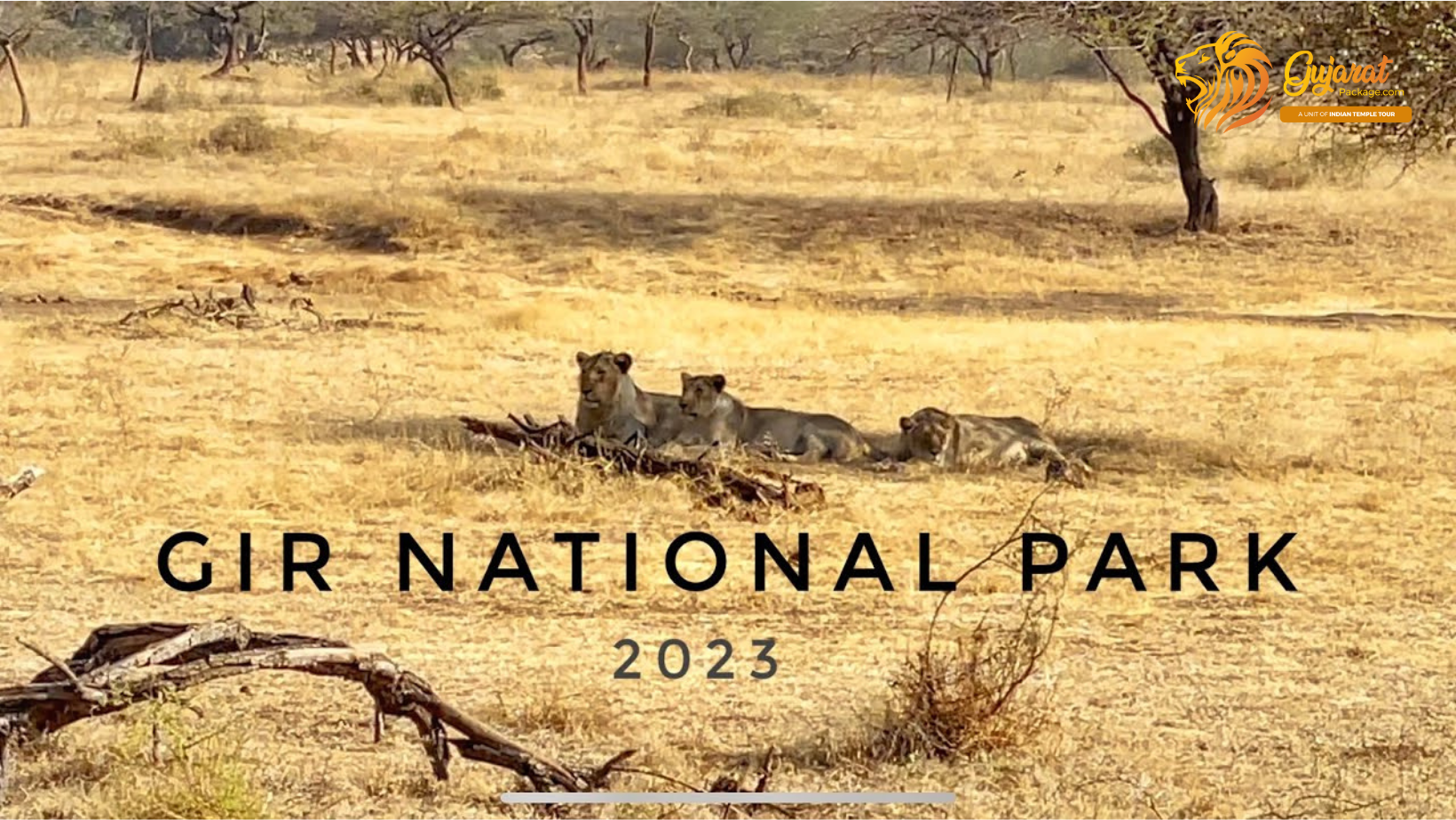 gir national park - Gujarat Package